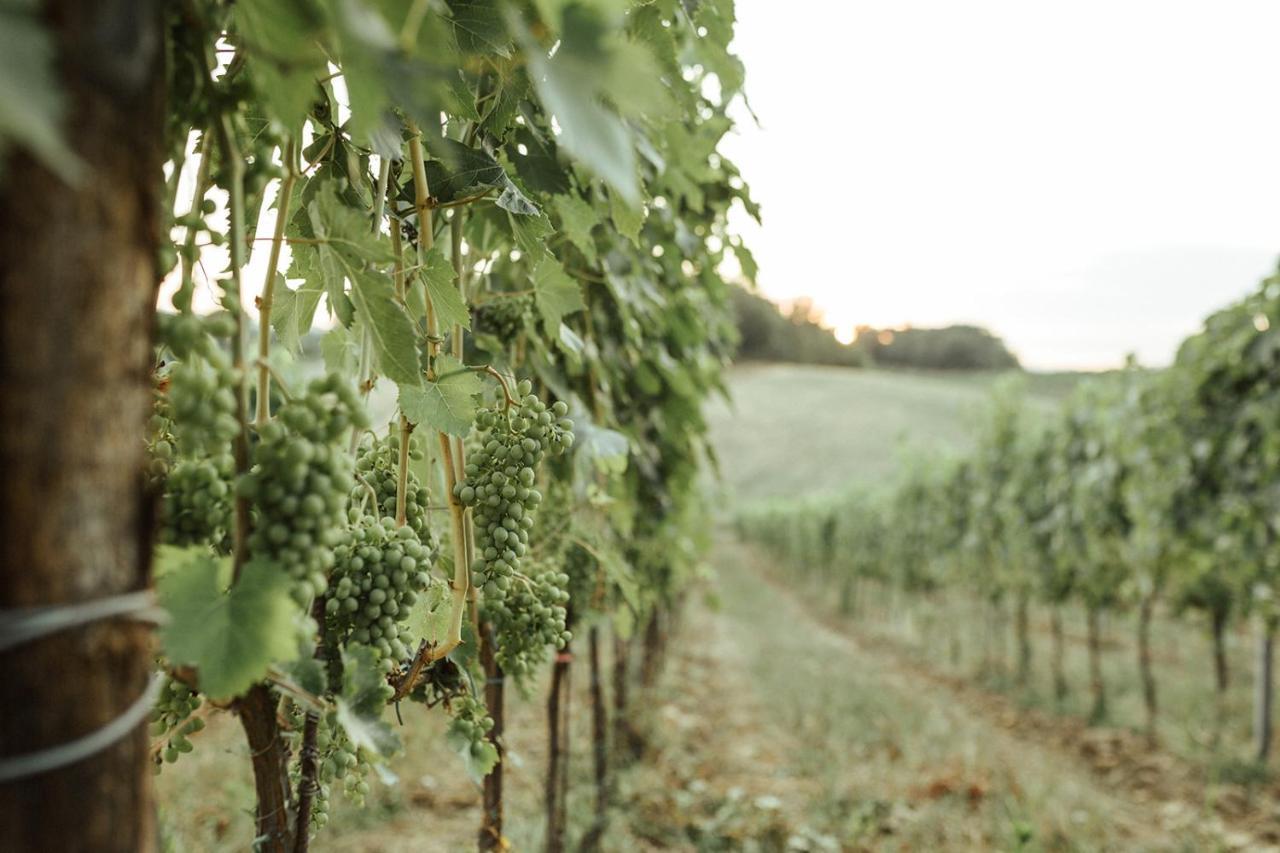 Вилла Perelli Winery Bucine Экстерьер фото